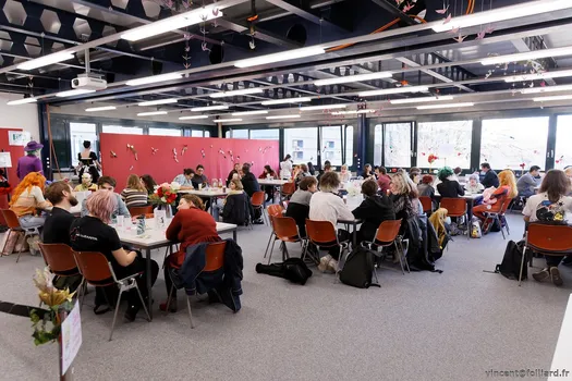 Copyright : Vincent Folliard